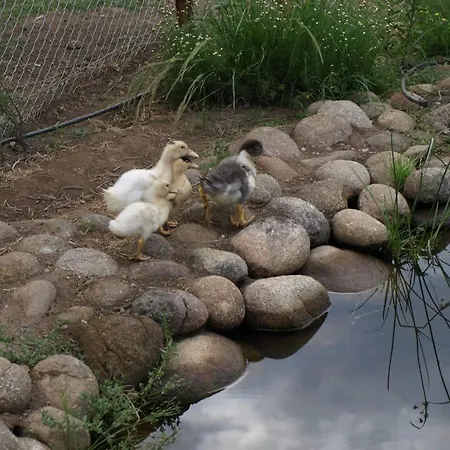 Casas Rurales Las Praderas Εξοχικό σπίτι *