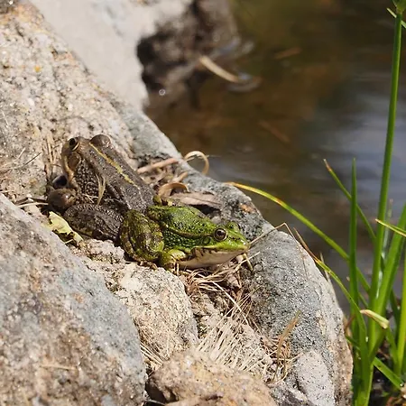 Casas Rurales Las Praderas