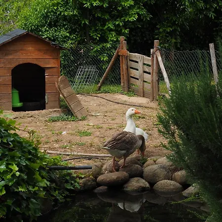 Εξοχικό σπίτι Casas Rurales Las Praderas