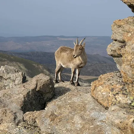 Casas Rurales Las Praderas Εξοχικό σπίτι
