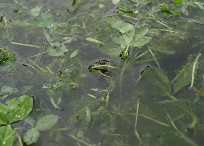 컨트리하우스 Casas Rurales Las Praderas *