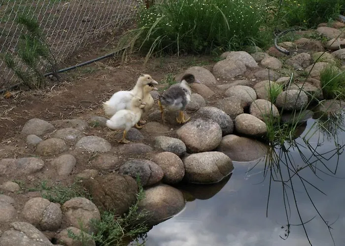 Casas Rurales Las Praderas 컨트리하우스 *