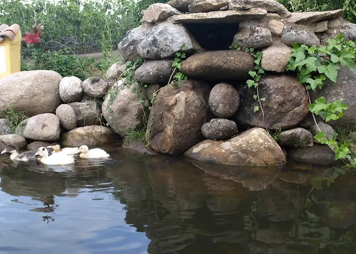 컨트리하우스 Casas Rurales Las Praderas Poyales Del Hoyo