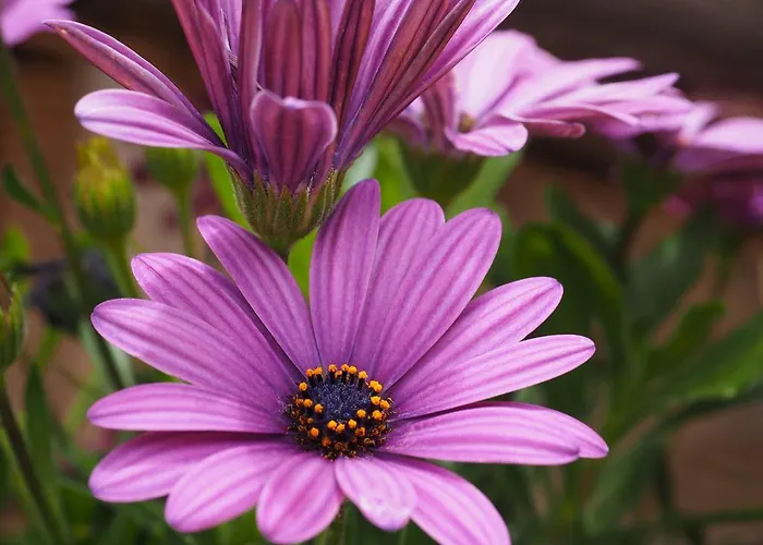 컨트리하우스 Casas Rurales Las Praderas