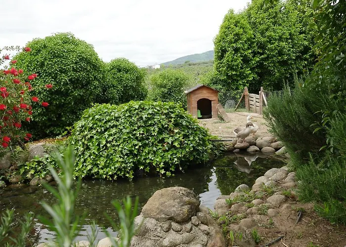 컨트리하우스 Casas Rurales Las Praderas Poyales Del Hoyo