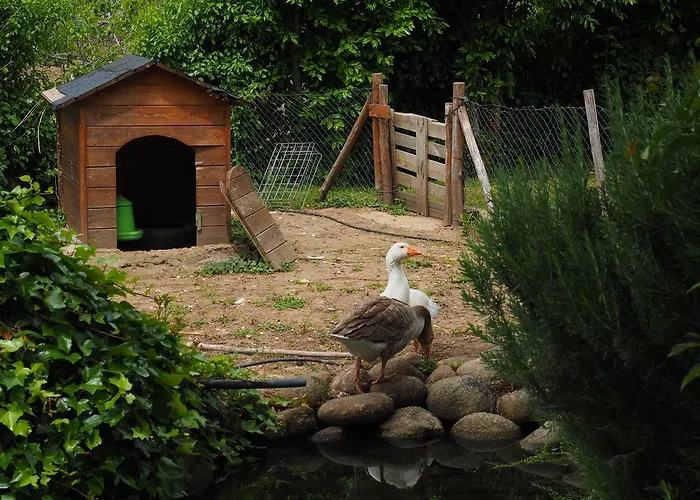 컨트리하우스 Casas Rurales Las Praderas