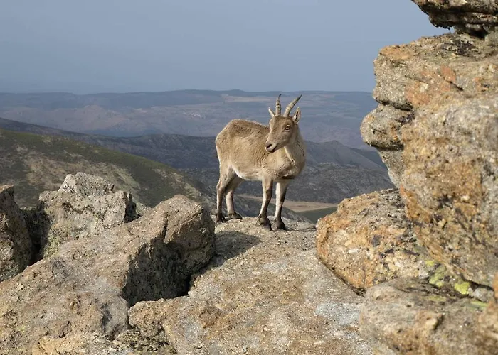 Casas Rurales Las Praderas 컨트리하우스